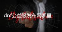 dnf公益服发布网哪里玩（dnf开公益服发布网赚钱嘛）